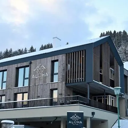 Aloha - Alp * Haus im Ennstal