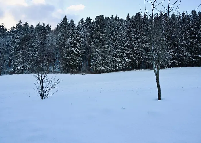 Apartman Aloha - Alp *